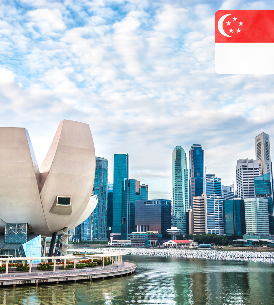 Singapore Company Setup